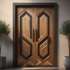 an open wooden door in front of a potted plant