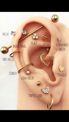 an ear with different types of piercings on it and the words, how do you know