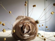 a close up of a flower on a bed with dried flowers in the foreground