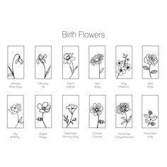 the different types of flowers are shown in black and white, with each flower's name