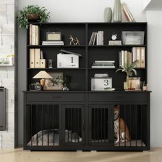 a dog is sitting in front of a bookshelf