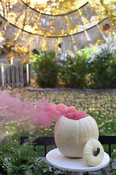 Fall Gender Reveal - Madison Fichtl Fall Gender Reveal Party, Pumpkin Gender Reveal, Halloween Gender Reveal, Pregnancy Gender Reveal