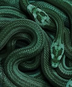 the green snake is curled up and ready to be used as a garter wrap