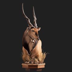 an antelope is sitting in the middle of some dry grass on a black background