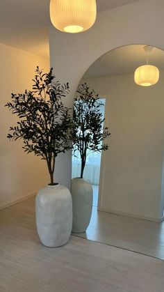 two white vases with plants in them on the floor