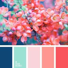 the color palette is coral, blue and green with pink flowers on it's branches