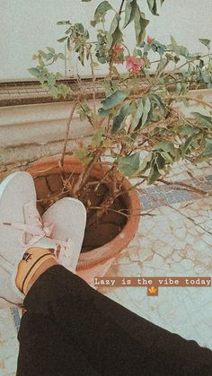 a person's feet resting on the ground next to a potted plant