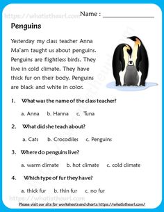 an animal worksheet with penguins and other animals