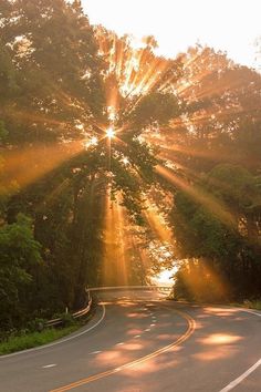 the sun shines brightly through the trees on this road