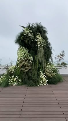 a tree covered in white flowers sitting on top of a wooden floor next to the ocean