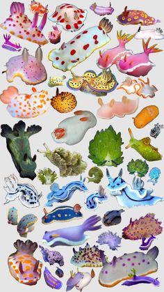 many different types of sea animals are shown in this image, and there is no image on