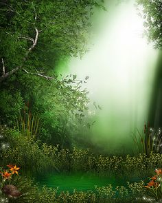 an image of a forest scene with sunlight coming through the trees and flowers in the foreground