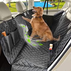 a dog sitting in the back seat of a car with its front paws on the floor