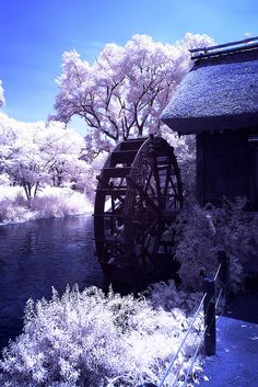 an old water wheel sitting in the middle of a river surrounded by trees and bushes