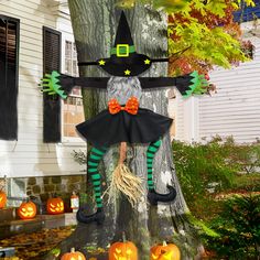 a scarecrow is hanging from a tree in front of a house with pumpkins