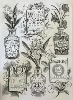 an old fashioned drawing of some flowers and jars with labels on them for different types of flowers