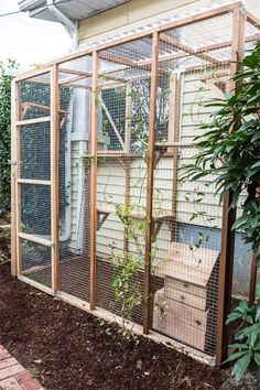 a chicken coop with plants growing in it