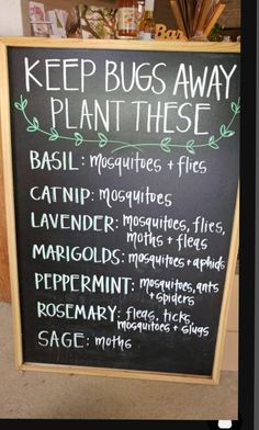 Plants That Repel Bugs, Garden Yard Ideas, Veggie Garden, Lawn And Garden, The Plant, Permaculture, Garden Planning, Garden And Yard