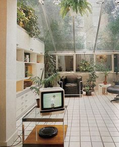 a living room filled with furniture and plants