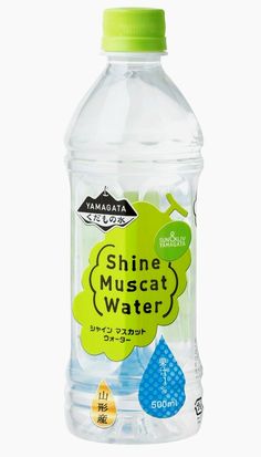 a bottle of water on a white background