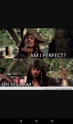 two pirates are talking to each other with the caption that says, am i perfect? oh yes i am