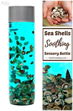 sea shells in a glass bottle with text overlay reading sea shells soothing sensory bottle