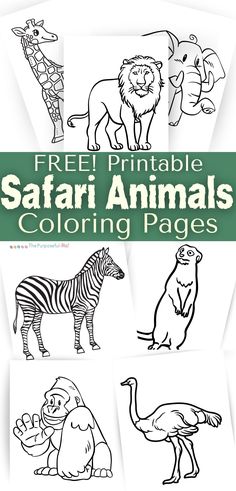 free printable safari animals coloring pages for kids to color and learn how to draw them