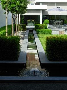 a small pond in the middle of a garden