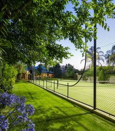 a tennis court surrounded by green grass and blue flowers in the foreground, with a chain link fence surrounding it