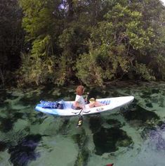 a man riding on the back of a kayak in clear blue water next to trees