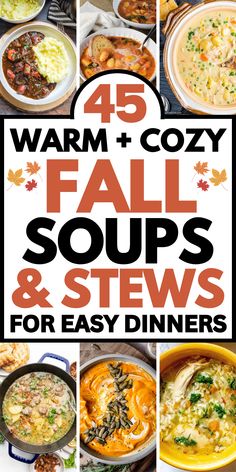 Easy fall soup recipes for dinner, including hearty stew recipes, chicken soups, and healthy or vegetarian comfort food soup ideas. Cool Soup Recipes, Best Fall Soups And Stews, Fall Hearty Soups, Soups For Fall And Winter, Fall Soup Party Ideas, Stew Recipes Vegetarian, Fall Soup Recipes Crock Pots, Soups And Stews Comfort Foods, Fall Stew Recipes