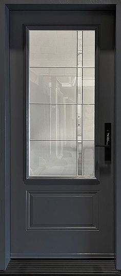 a black door with a glass pane on the front and side panels is shown