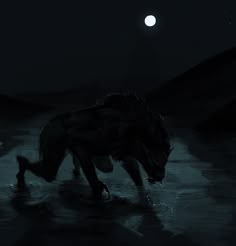 an animal is walking in the water at night