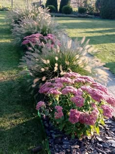 some pink flowers and green grass in the middle of a garden area with gravel edging