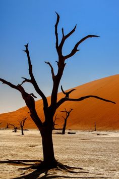 Deadvlei, Namib Desert, Namibia, World Heritage, デッドフレイ, ナミブ砂漠, ナミビア, 世界遺産 Namibia Desert, Dry Desert, 7 Continents, Jaisalmer, Natural Rock, Travel Trip, Africa Travel, Joshua Tree