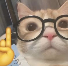 a cat wearing glasses and making the peace sign with its fingers in front of it