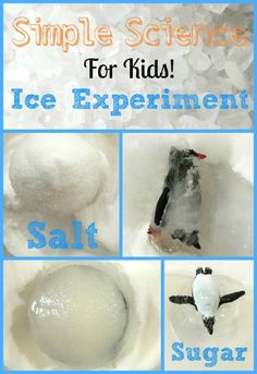 an ice experiment for kids with pictures of penguins and snowballs in the bottom left corner