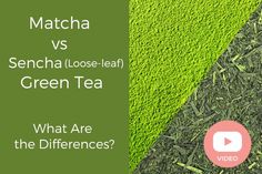 matcha vs sencha loose leaf green tea what are the differences?