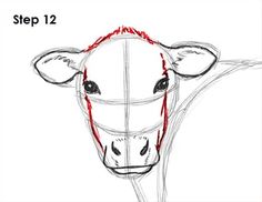 how to draw a cow's head with the help of pencil and marker step 12