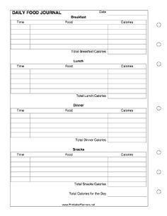 Calorie Counting Chart, Executive Planner, Food Journal Printable, Daily Food Journal, Printables Planner, Calorie Chart, Office Management, Happy Planners, Family Binder