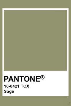 the pantone color is shown in this image