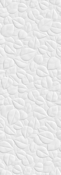 an abstract white textured background with small circles