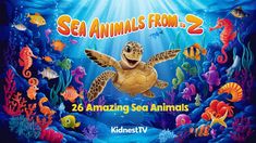 the poster for sea animals from 2 to 26 amazing sea animals kids'tv series