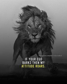 a black and white photo of a lion with the caption if your eco barks them my attitude roars