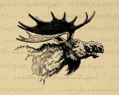 a drawing of a moose's head with antlers on the back of it