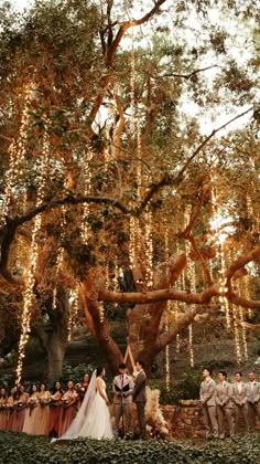 a wedding party standing under a large tree with lights hanging from it's branches