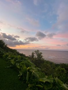 Sunset in Kauai with the tropical plants Hawaii Plants, Pretty Skys, Summer Vision, Aesthetic Places, Nature Ocean, Sun Rise, Coconut Girl