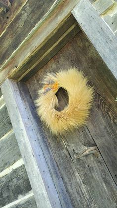 a bird is sitting on the outside of a wooden house with a fur ball in it's mouth