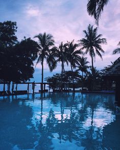 an empty swimming pool with palm trees and the ocean in the backgrouds