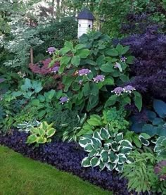 a garden filled with lots of different types of plants